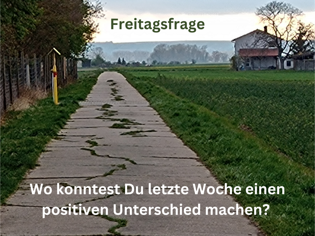 Ein zerbrochener Betonweg neben einem Feld, im Hintergrund ein Haus