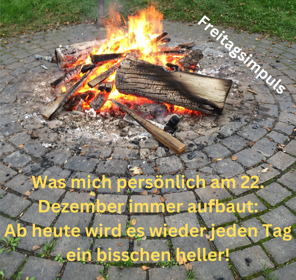 Eine gepflasterte Feuerstelle in der Natur
