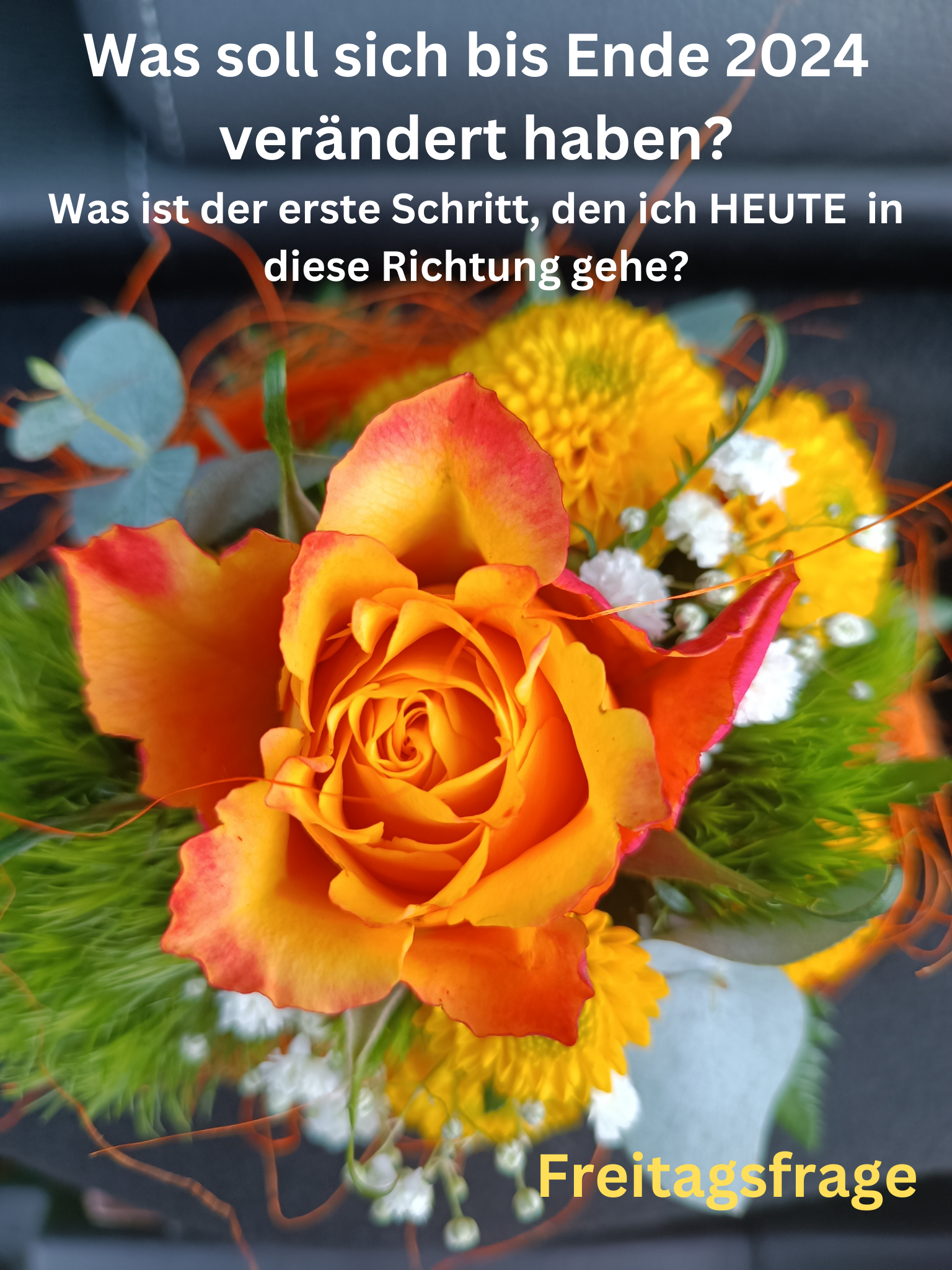 Freitagsfrage