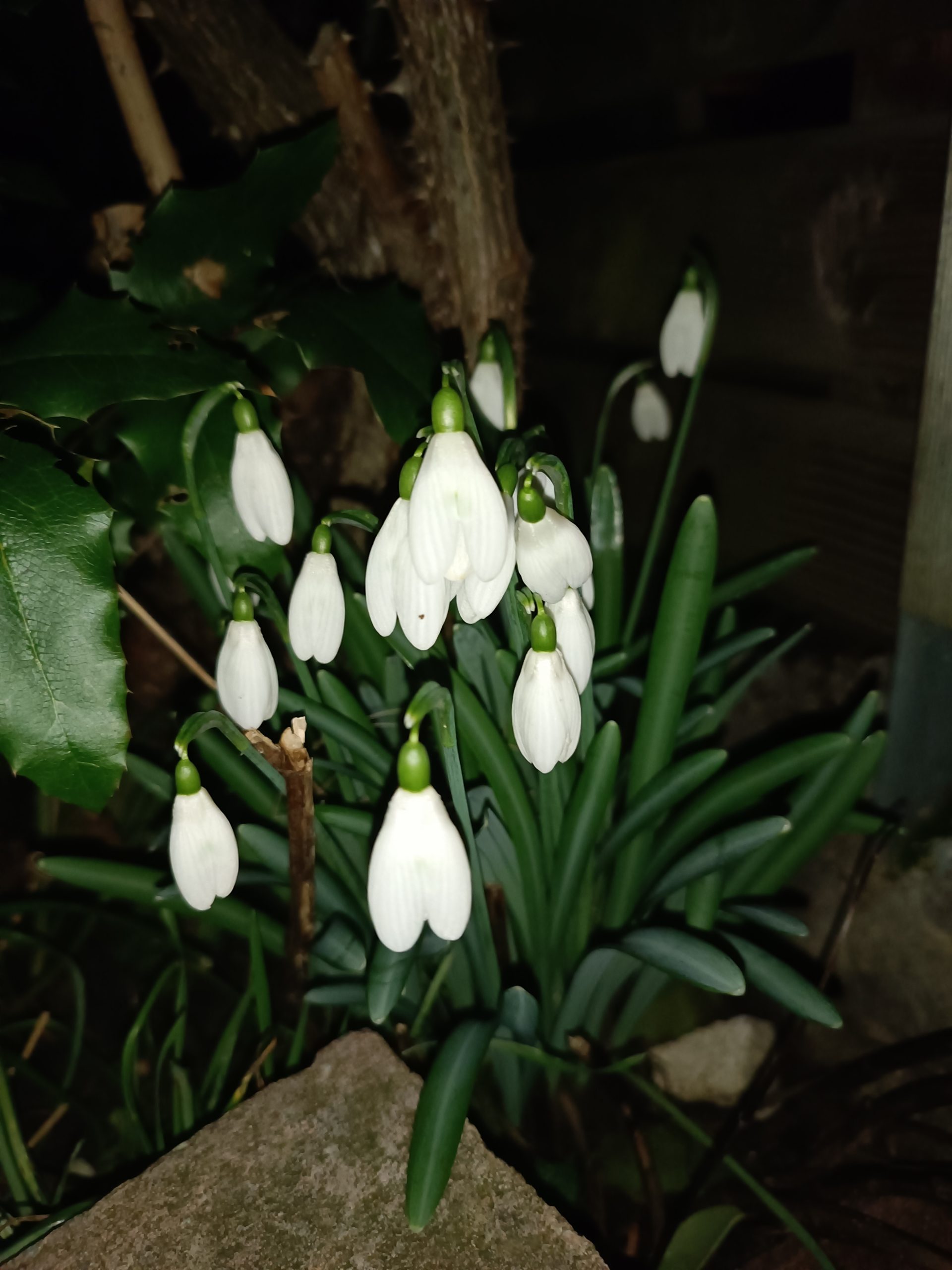 Manchmal sind es die kleinen Dinge – Magic Monday Morning