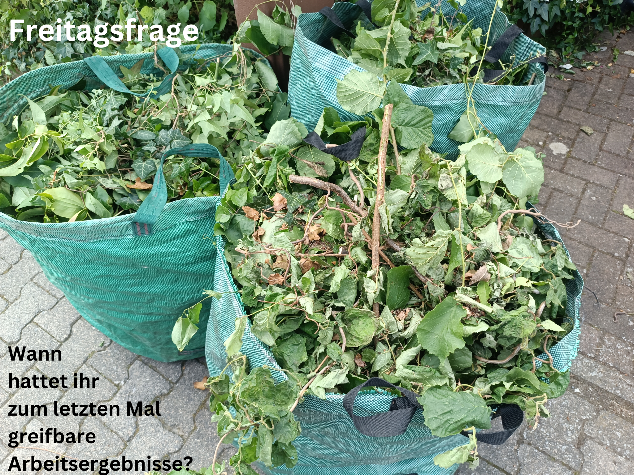 Freitagsfrage