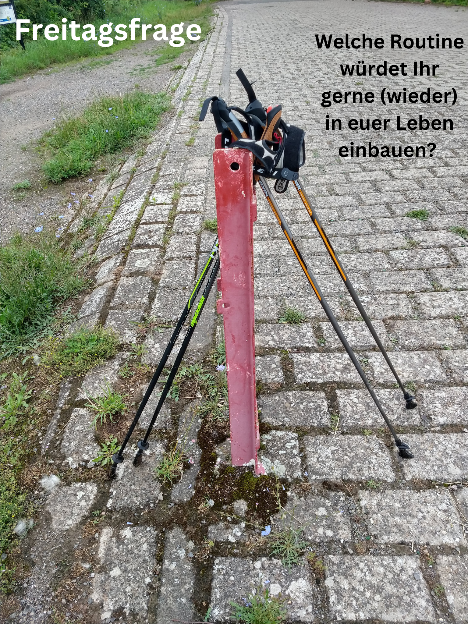 Freitagsfrage