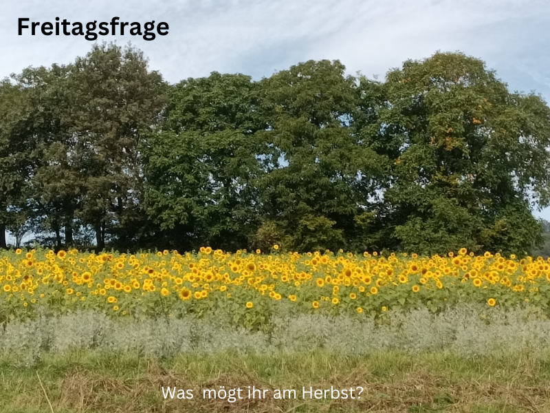 Freitagsfrage